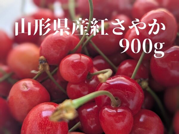 翌日受取可能な方限定!収穫でき次第発送!山形県産 さくらんぼ 家庭用紅さやか 900g 小さめ 色甘め、双子、少しの割れ物