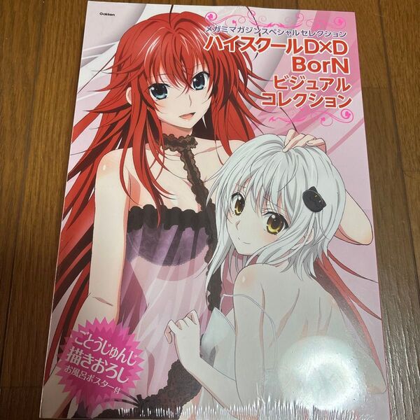 ハイスクールDxD BorN ビジュアルコレクション お風呂ポスター付き 新品未開封