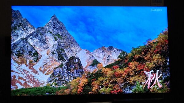 シャープ 8Kテレビ 8T-C65DX1 4k8k録画用HDDセット 送料込み