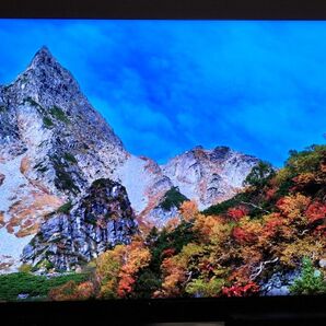 シャープ 8Kテレビ 8T-C65DX1 4k8k録画用HDDセット 送料込み
