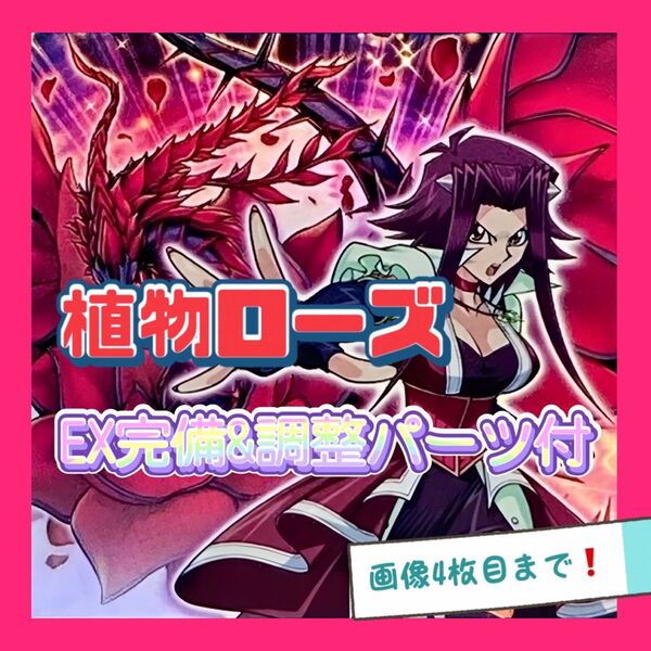 遊戯王 植物 ローズ デッキ 十六夜アキ 本格構築 EX完備 デッキパーツ