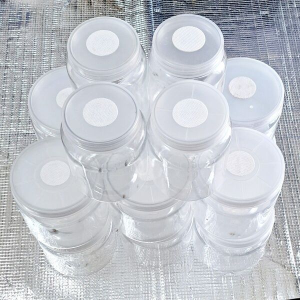 最終値下げ 幼虫飼育用透明プラスチック容器16個セット