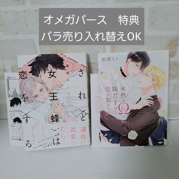 陽歌れいりされど女王蜂は恋をする園瀬もち未熟なΩは陽だまりで恋を知る特典ペーパー付き商業BLボーイズラブ漫画