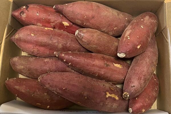 A期間限定特売♪♪さつまいもミックス 1.4kg