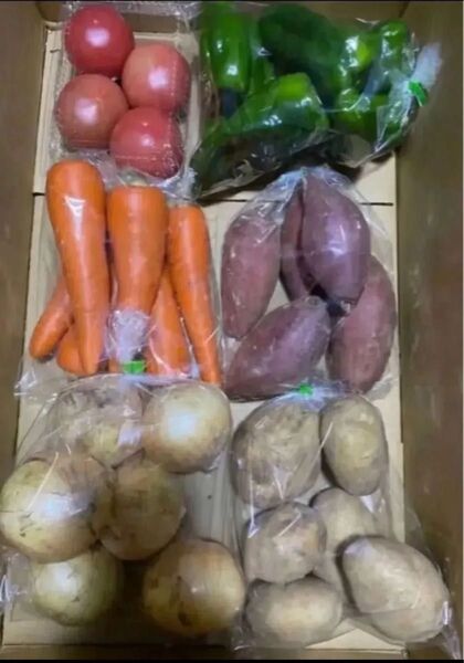 D 限定特売♪ 大盛りお買い得6種野菜セット