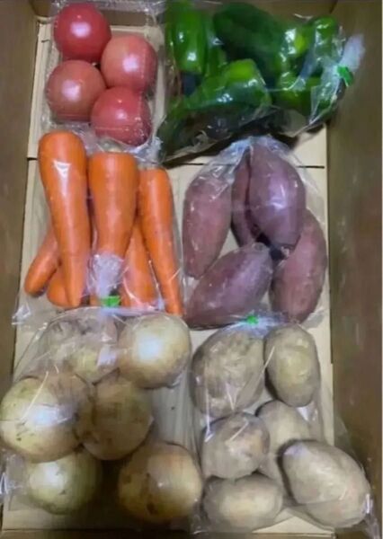 D 限定特売♪ 大盛りお買い得6種野菜セット
