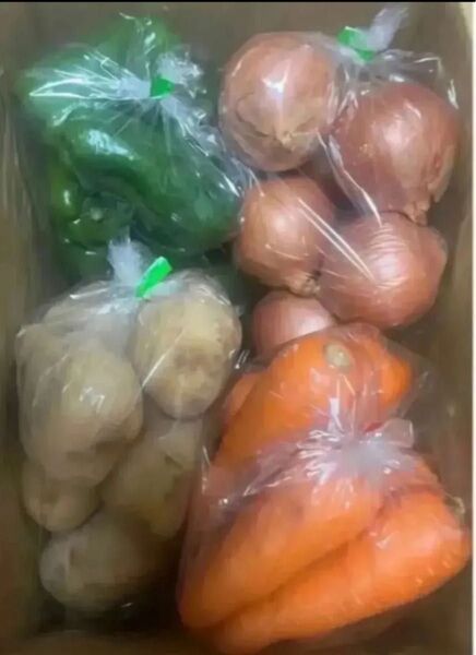 限定特売♪ 大盛りお買い得4種野菜セット 6kg
