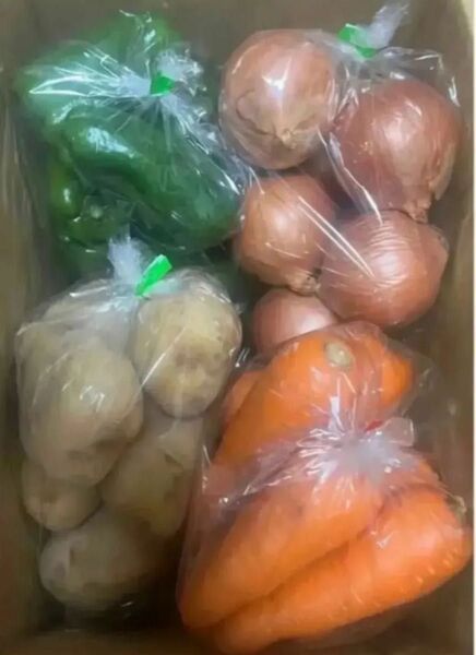 限定特売♪ 大盛りお買い得4種野菜セット 6kg
