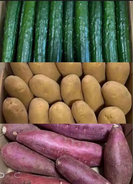 限定特売♪ ゆうパケット大盛り3種野菜果物セット合併