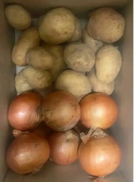H限定特売♪ 大盛りお買い得野菜セット 6kg,