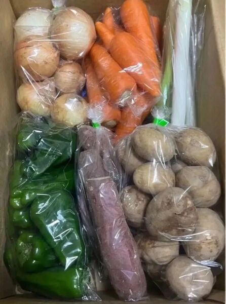 K 限定特売♪ 訳あり大盛りお買い得6種野菜セット