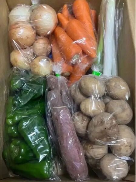 K 限定特売♪ 訳あり大盛りお買い得6種野菜セット+Hセット