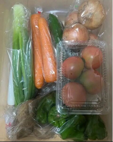 B限定特売♪ 大盛りお買い得7種野菜セット