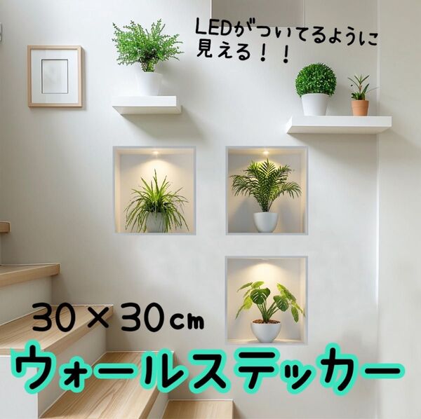 ウォールステッカー 壁紙 インテリア 壁飾り 観葉植物 リーフ シール 3枚セット