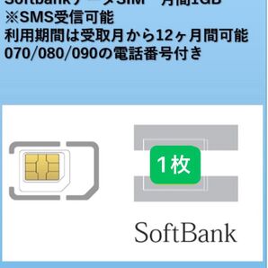 Softbank データSIM 1GB 月間 SMS受信可能