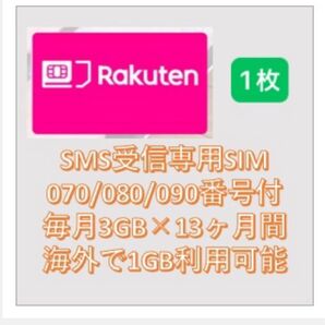 楽天 月3GB高速データSMS受信認証可 N+12ヶ月