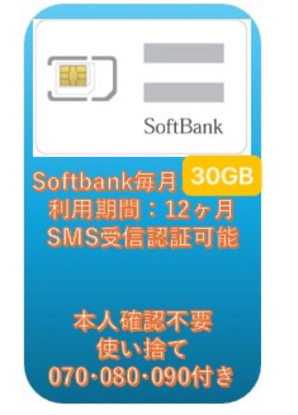 Softbank プリペイドSIM 毎月30GB 12ヶ月