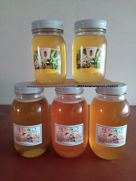 国産百花蜂蜜1200g×3と国産みかん蜂蜜600g×2