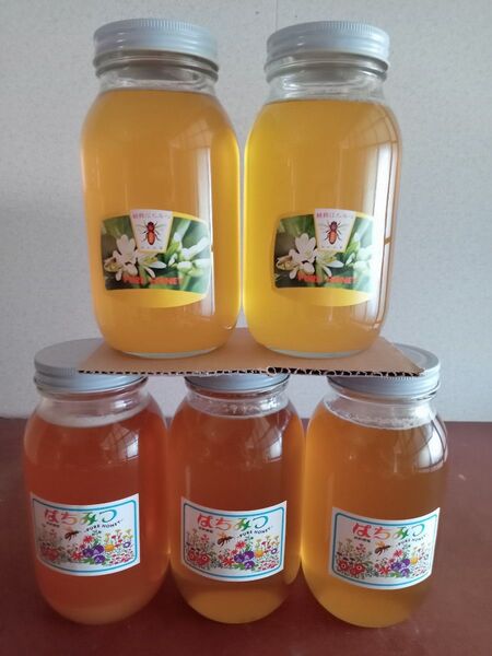 国産百花蜂蜜1200g×3と国産みかん蜂蜜1200g×2