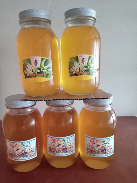 国産百花蜂蜜1200g×3と国産みかん蜂蜜1200g×2
