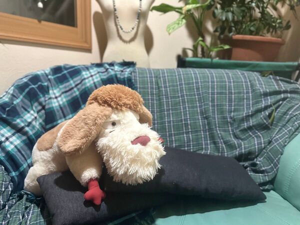 ジブリパーク 13人の魔女団 ヒン ぬいぐるみ