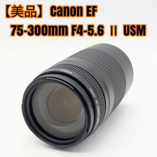 【美品】Canon EF 75-300mm F4-5.6 Ⅱ USM