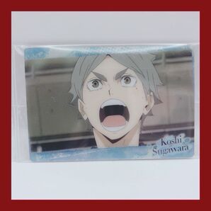 新品未開封 ハイキュー!! TO THE TOP ウエハース カード ウエハース5 キャラクターカード アニメ菅原孝支 烏野高校