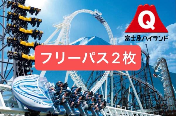 富士急ハイランド フリーパス 2枚 ペア