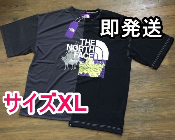 サイズXL◆THE NORTH FACE PURPLE LABEL Crazy Tee ノースフェイス パープルレーベル