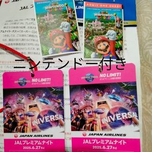★USJ JALプレミアムナイト スーパーニンテンドー付き★ユニバーサル チケット2枚