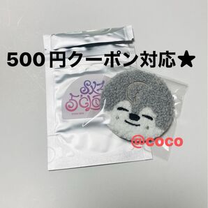 Stray Kids SKZOO 缶バッチ 韓国 SKZ 5'CLOCK シークレット ウルフチャン バンチャン 缶バッジ