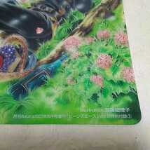 中古品　やさしい竜の殺し方　クリア下敷き　サイズ約25.8×17.8cm　送料120円　雑誌付録_画像3