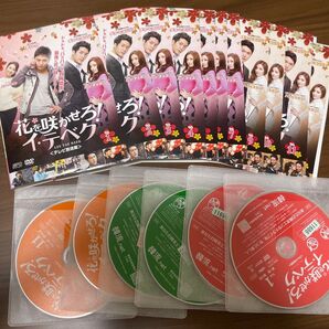 花を咲かせろ!イ・テベク DVD 全11巻セット
