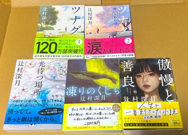 辻村深月 小説 5.冊セット 凍りのくじら ツナグ 光待つ場所 傲慢と善良