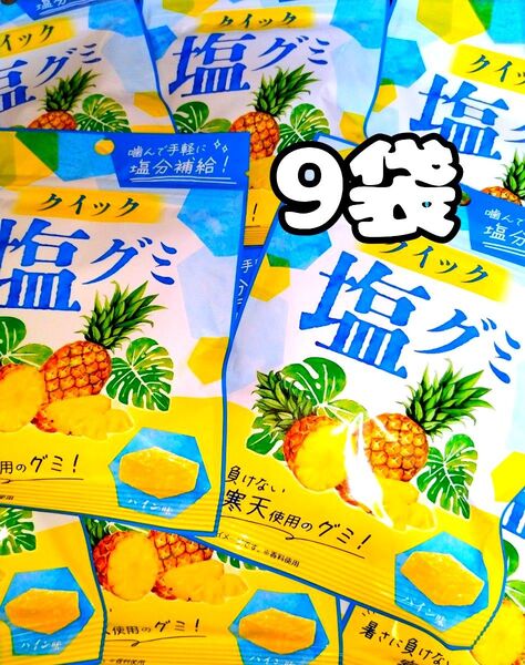モントワール クイック塩グミ パイン味 40g 9袋