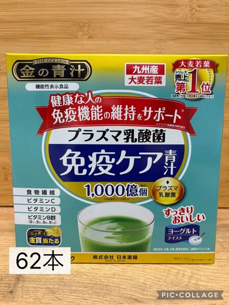 金の青汁 62本 プラズマ乳酸菌 免疫ケア 青汁
