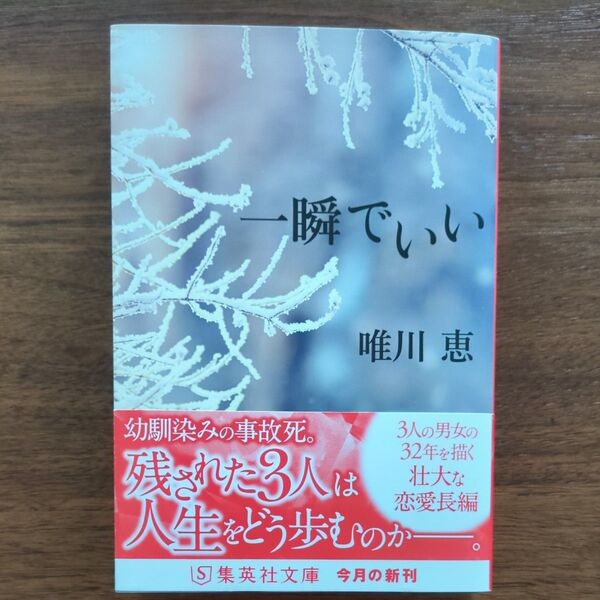 一瞬でいい (集英社文庫 ゆ5-31) 唯川恵/著