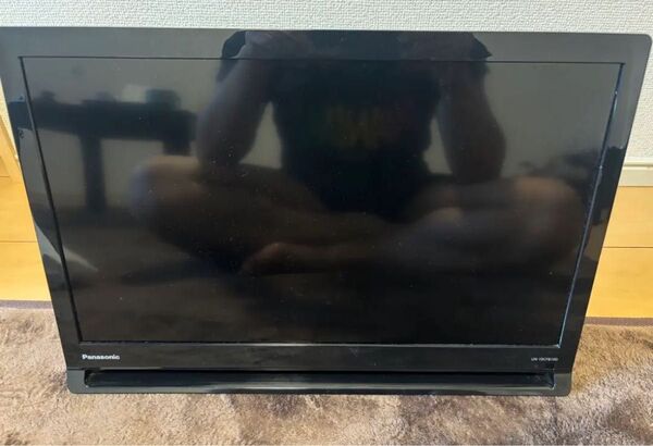 Panasonic VIERA プライベートビエラ UN-19CFB10D 液晶テレビ