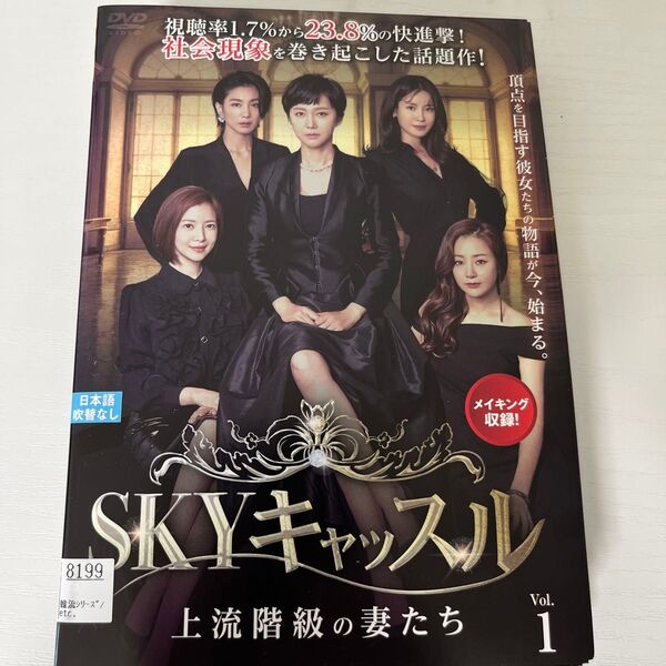 SKYキャッスル 上流階級の妻たち 全18巻 DVD レンタル落ち ケースなし
