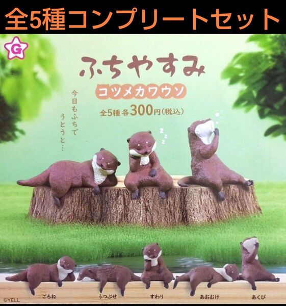 ふちやすみ コツメカワウソ 全5種コンプリートセット ガチャ