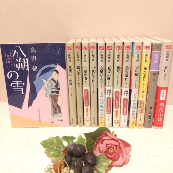 高田郁 文庫本 13冊 セット みをつくし料理帖 全10巻 特別巻 花だより あい 銀二貫 時代小説文庫 ハルキ文庫