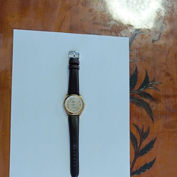 CITIZEN Eco-Drive 腕時計 不動品