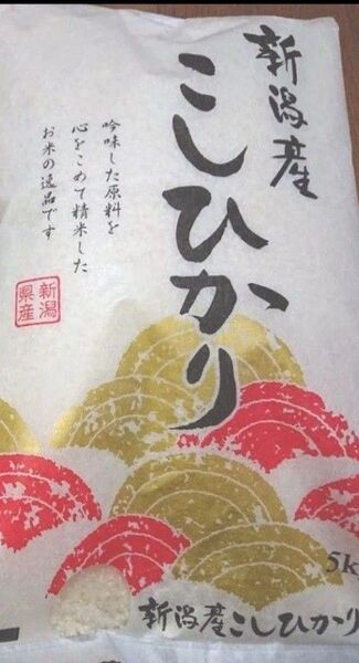新潟県産 こしひかり 5㎏ 精米 ブランド米 銘柄米 米処産地