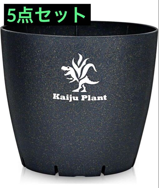 5点セット アガベ チタノタ 怪獣プラント kaijyu 鉢植え プランター agabe 観葉植物 サボテン