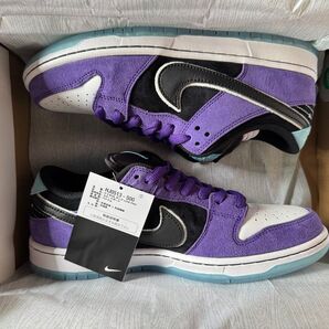 Hayley Wilson Nike SB Dunk Low Pro Black and Court Purple us9