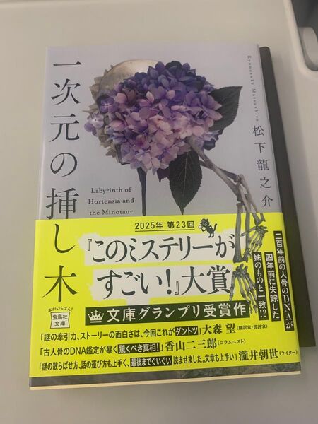 即購入◎一次元の挿し木 (宝島社文庫 Cま-5-1 このミス大賞) 松下龍之介/著