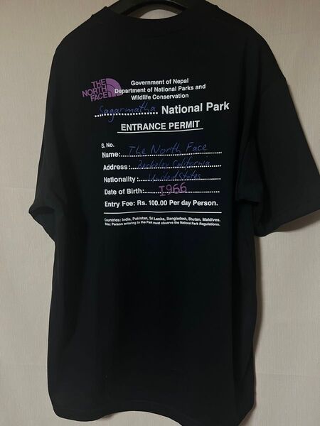 The North Face ノースフェイス Tシャツ NT32439