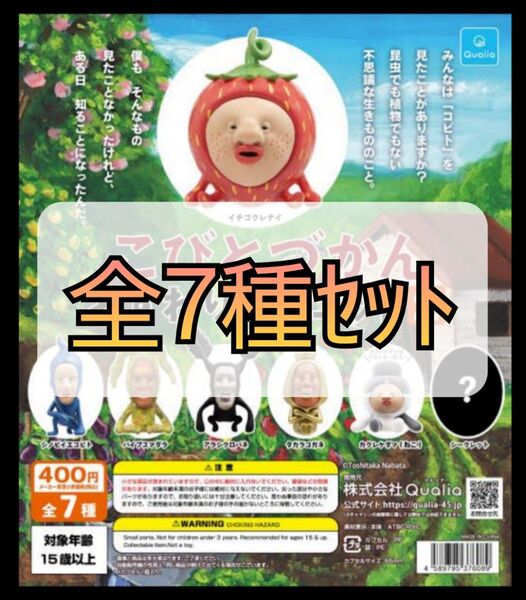 【新品未開封】こびとづかん おすわりマスコット2 全7種セット