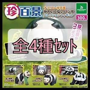 【新品未開封】ナニコレ珍百景 かわいくないパンダ コレクション 全4種セット