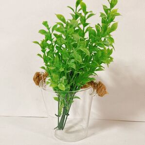 麻紐付きガラス製花瓶 テラリウムバケツ型 インテリア雑貨 インテリア アンティーク 観葉植物